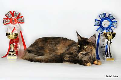 �������� ����� '������ ���-�����'  22-23 ������� 2014 35_DSC_2122r.jpg