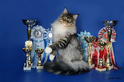 �������� ����� '������ ���-�����'  22-23 ������� 2014 59_DSC_2274r.jpg