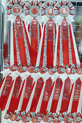 �������� ����� '������ ���-�����'  22-23 ������� 2014 0_e20c9_54276332_orig.jpg