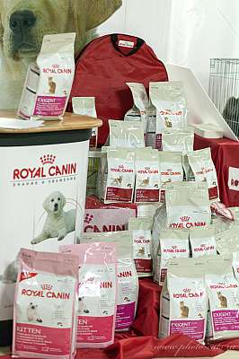 �������� ����� '������ ���-�����'  22-23 ������� 2014 0_e20ca_5c60b7e1.jpg