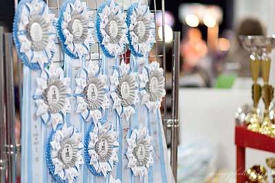 �������� ����� '������ ���-�����'  22-23 ������� 2014 �������� ����� '������ ���-�����'  22-23 ������� 2014 0_e2169_538087c7_orig.jpg