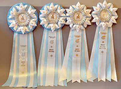 �������� ����� '������ ���-�����'  22-23 ������� 2014 �������� ����� '������ ���-�����'  22-23 ������� 2014 1n20140207_130530.jpg