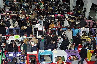 �������� ����� '������ ���-�����'  22-23 ������� 2014 DSC_0673.jpg