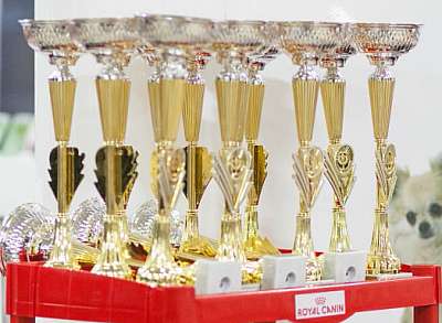 �������� ����� '������ ���-�����'  22-23 ������� 2014 kubki.jpg