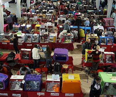 �������� ����� '������ ���-�����'  22-23 ������� 2014 n20140222_114626-1.jpg