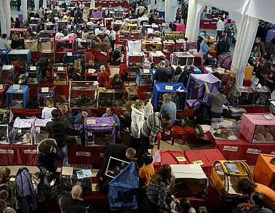 �������� ����� '������ ���-�����'  22-23 ������� 2014 n20140222_114819-1.jpg