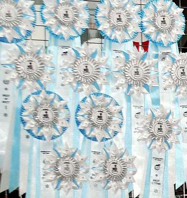 �������� ����� '������ ���-�����'  22-23 ������� 2014 roz.jpg