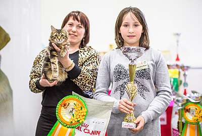 �������� ����� '�������� ���-�����'  5-6 ������ 2014 11-55-Best-Kitten_.jpg