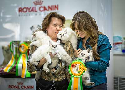 �������� ����� '�������� ���-�����'  5-6 ������ 2014 13-153-Best-Litter.jpg