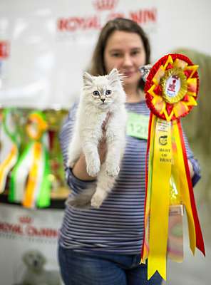 �������� ����� '�������� ���-�����'  5-6 ������ 2014 15-128-Best-Baby.jpg