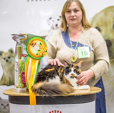 �������� ����� '�������� ���-�����'  5-6 ������ 2014 2-19-BOB2.jpg