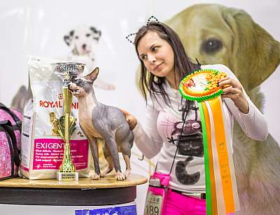 �������� ����� '�������� ���-�����'  5-6 ������ 2014 3-189-BOB3.jpg