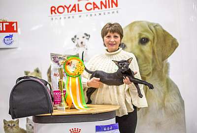 �������� ����� '�������� ���-�����'  5-6 ������ 2014 4-118-BOB4.jpg