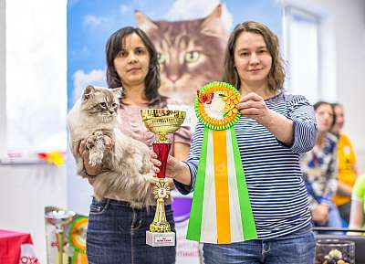 �������� ����� '�������� ���-�����'  5-6 ������ 2014 5-179-Best-Opp-Sex-SLH_.jpg