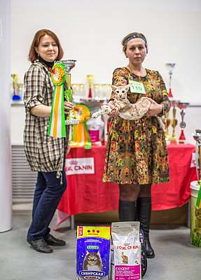 �������� ����� '�������� ���-�����'  5-6 ������ 2014 8-119-Best-Opp-Sex-SOSH.jpg