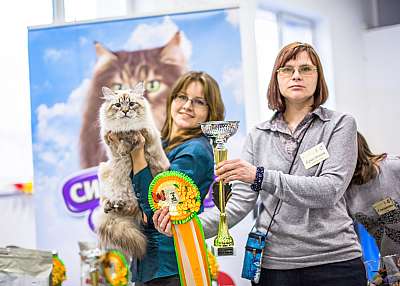 �������� ����� '�������� ���-�����'  5-6 ������ 2014 9-61-Best-Junior_.jpg