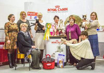 �������� ����� '�������� ���-�����'  5-6 ������ 2014