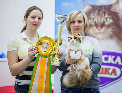 �������� ����� '�������� ���-����� 5-6 ������ 2014 1-53-BOB1.jpg