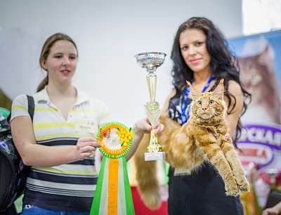 �������� ����� '�������� ���-����� 5-6 ������ 2014 10-4-Best-Junior-Opp-Sex.jpg