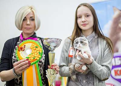 �������� ����� '�������� ���-����� 5-6 ������ 2014 11-180-Best-Kitten_.jpg