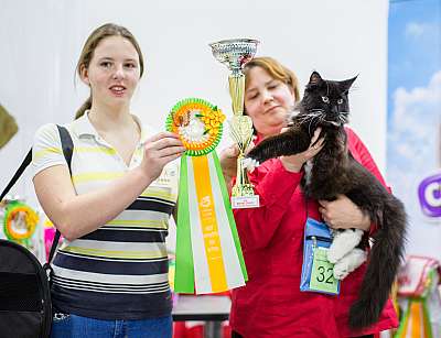 �������� ����� '�������� ���-����� 5-6 ������ 2014 12-32-Best-Kitten-Opp-Sex.jpg