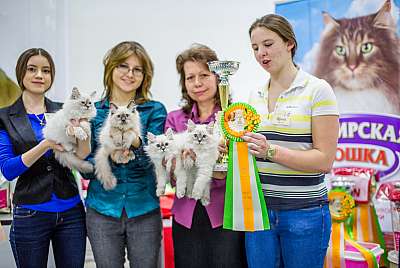 �������� ����� '�������� ���-����� 5-6 ������ 2014 13-153-Best-Litter.jpg