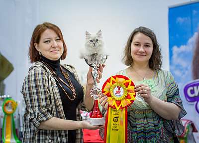 �������� ����� '�������� ���-����� 5-6 ������ 2014 15-128-Best-Baby.jpg