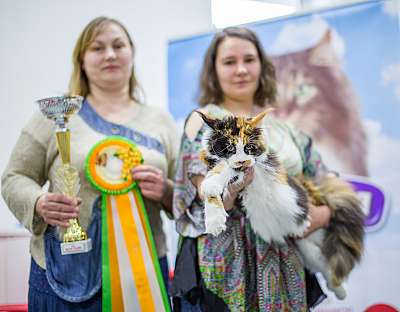 �������� ����� '�������� ���-����� 5-6 ������ 2014 3-19-BOB3.jpg