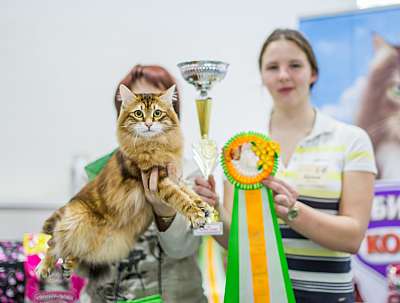 �������� ����� '�������� ���-����� 5-6 ������ 2014 5-57-Best-Opp-Sex-SLH.jpg