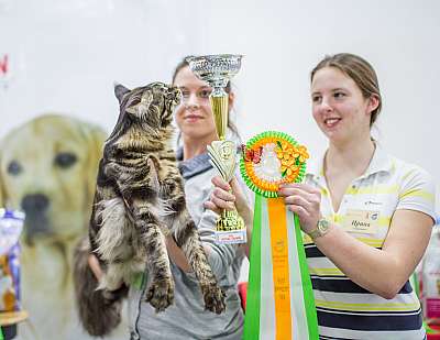 �������� ����� '�������� ���-����� 5-6 ������ 2014 6-41-Best-Opp-Sex-MCO.jpg