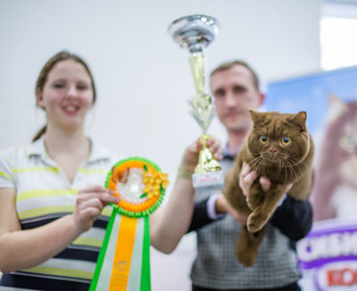 �������� ����� '�������� ���-����� 5-6 ������ 2014 7-150-Best-Opp-Sex-SH.jpg