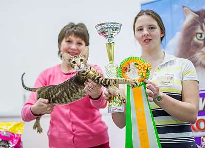 �������� ����� '�������� ���-����� 5-6 ������ 2014 8-114-Best-Opp-Sex-SOSH.jpg