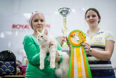 �������� ����� '�������� ���-����� 5-6 ������ 2014 9-146-Best-Junior.jpg