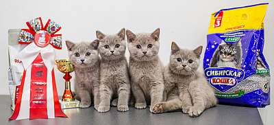 �������� ����� '�������� ���-�����'  5-6 ������ 2014 ������������ ��� bri-131.jpg