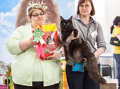 �������� ����� '�������� ���-�����'  5-6 ������ 2014 ������������ ��� mco-29.jpg