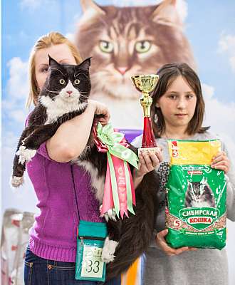 �������� ����� '�������� ���-�����'  5-6 ������ 2014 ������������ ��� mco-33.jpg