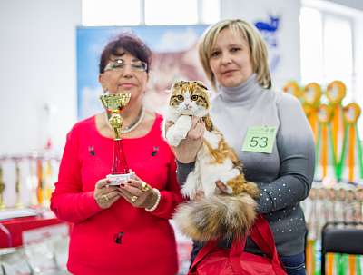 �������� ����� '�������� ���-�����'  5-6 ������ 2014 WCF-����� 