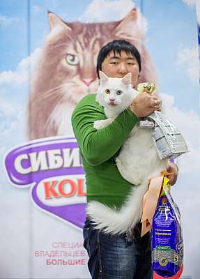 �������� ����� '�������� ���-�����'  5-6 ������ 2014 WCF-����� 