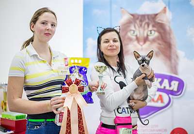 �������� ����� '�������� ���-�����'  5-6 ������ 2014 WCF-����� 