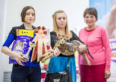 �������� ����� '�������� ���-�����'  5-6 ������ 2014 WCF-����� 