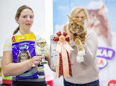 �������� ����� '�������� ���-�����'  5-6 ������ 2014 WCF-����� 