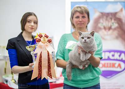 �������� ����� '�������� ���-�����'  5-6 ������ 2014 WCF-����� 