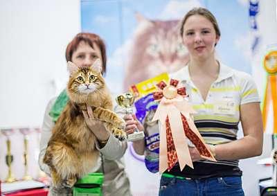 �������� ����� '�������� ���-�����'  5-6 ������ 2014 WCF-����� 