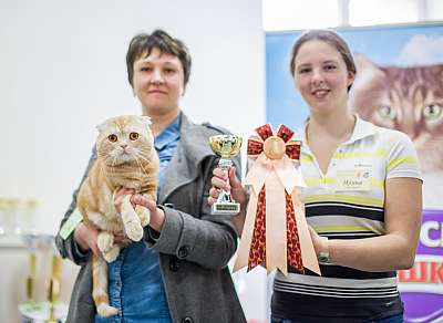 �������� ����� '�������� ���-�����'  5-6 ������ 2014 WCF-����� 