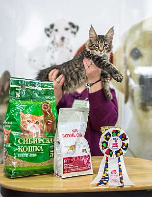 �������� ����� '�������� ���-�����'  5-6 ������ 2014 WCF-����� 2-43-wcf-Young.jpg