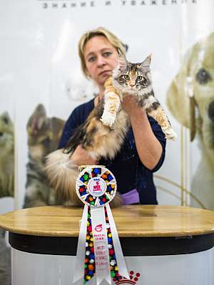 �������� ����� '�������� ���-�����'  5-6 ������ 2014 WCF-����� 3-23-wcf-Young.jpg