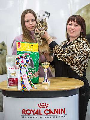 �������� ����� '�������� ���-�����'  5-6 ������ 2014 WCF-����� 4-55-wcf-Young.jpg