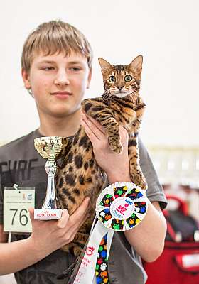 �������� ����� '�������� ���-�����'  5-6 ������ 2014 WCF-����� 5-76-wcf-Young.jpg