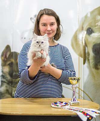 �������� ����� '�������� ���-�����'  5-6 ������ 2014 WCF-����� 6-128-CatSalon-293.jpg