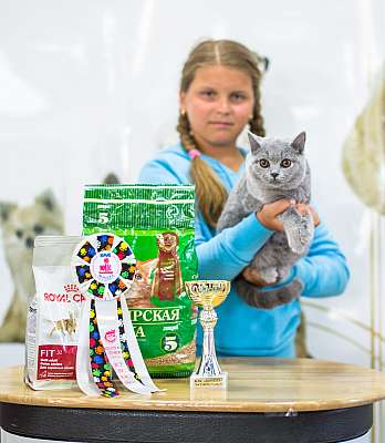 �������� ����� '�������� ���-�����'  5-6 ������ 2014 WCF-����� 8-81-wcf-Young.jpg